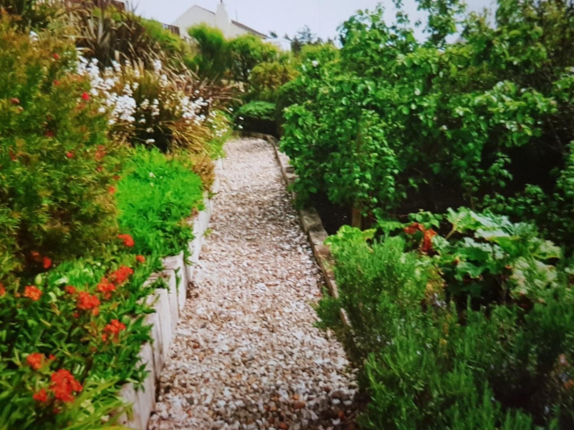 فيلا Ocean View Port William المظهر الخارجي الصورة